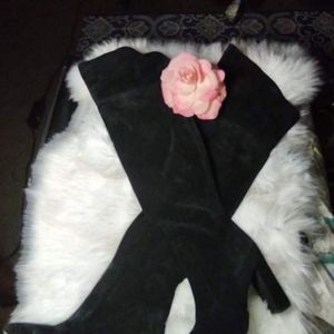 Paris Texas Suede thigh high pointed boots